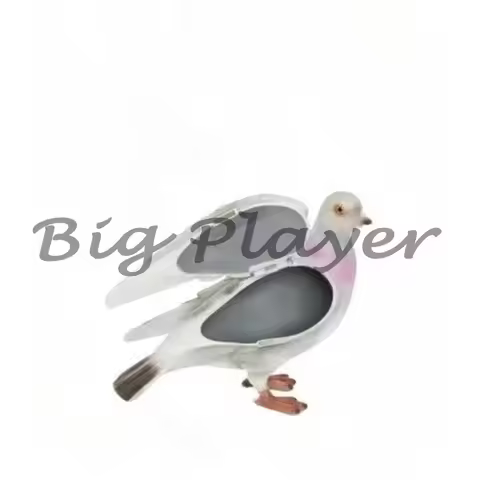 Wanerson Pigeon Handbag Is Pigeon, Clutch Bag, Pigeon Bag Creative Bag Change