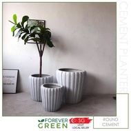 Round Grey Stripe Cement Pot Planter Pot Flowerpot Tree Pot Outdoor Pot Garden Pot Fiberglass Pot