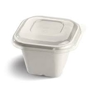 BIOPAK 480ml/630ml White Plant Fibre Takeaway Base with rpet lid (50 set)