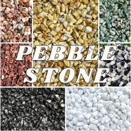 1KG Pebble Stone River Pebble Gardening Landscape Aquarium Decoration Batu kacang Hiasan Putih 鹅卵石