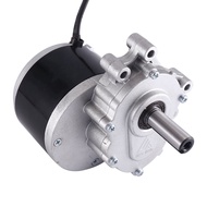 250W 24V Low Speed Brush Motor 44mm Longer Shaft Shaft Diameter 17mm Wheel Chair Used DC Gear Brush