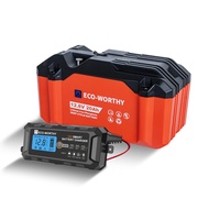 ECO-WORTHY Portable 12V Lithium Battery, 20Ah LiFePO4 Battery with 5Amp 12V Automatic Smart Battery 