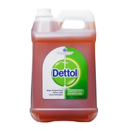 Antiseptic Liquid (Cleanol & Dettol) 5 Liter