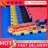 Taekwondo Mats Dance Martial Arts Sanda Thickening Training Special Foam Kindergarten Mat 1 M by 1 M