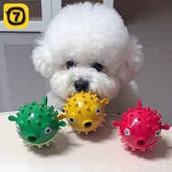 Small Dog Toy Ball Dog Bounce Toy Relieve Boredom Bite Resistant Pet Sounding Ball Leaking Fish Big 