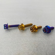 Motorcycle body cover screw tatanium m5x15m & m5x20m gold titaniuim