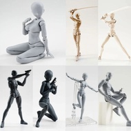 Action Figures Body Kun DX & Body-Chan DX PVC Figure Model Drawing for SHF S H Figuarts Draw Sketch 