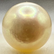 a1584 Akoya Pearl Loose Undrilled 7.5–7.9mm Gem Jewelry Pre-owned Kyoto Japan K4U