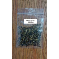 Benih indigofera (200biji++)