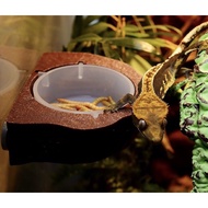 Food Cup For Gecko Camel