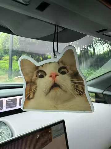 Surprised Shocked Cat Meme Car Air Freshener Pendant Lasts for 90 Days, Natural Fragrance Five-Star 