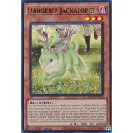 [Genuine Yugioh] Danger!? Jackalope?