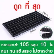 105หลุม ถาดเพาะกล้า ถาดเพาะชำ ถาดเพาะต้นกล้า ถาดเพาะต้นอ่อน ถาดเพาะเมล็ด ถาดเพาะปลูกผัก ถาดเพาะไฮโดร
