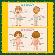 少兒英語my body男孩女孩身體部位海報學校教室環創裝飾掛畫
