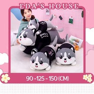 (HCM-Hỏa tốc 2h) Gấu Bông Mèo Husky siêu to khủng lồ thú nhồi bông mặt ngáo EDAS HOUSE