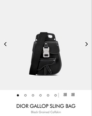 Dior outlet men gallop sling bag