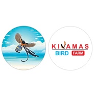 Magpie bird cage bottom sticker, handsome cage solution