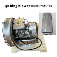 Ring blower พร้อมกรองอากาศ ดูดอากาศ Ring Blower  CTA 750 220 V ขนาด 1 แรงม้าใช้เติมอากาศในบ่อ เพาะเล