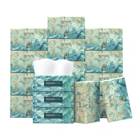 12 Packs, 1 Carton; Household Toilet Paper; Medium Pack Toilet Paper; Kleenex; Napkin; 1 Pack With 2