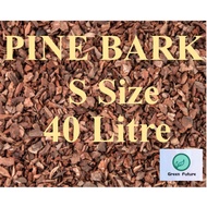 40Litre S size PINE BARK/ Pine scale Orchid potting Pine Bark MURCH  murching 松鳞松树皮 树皮 10kg 3-6mm