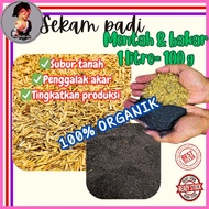 Sekam Padi Bakar Halus 100g Rice Husk Sekam Bakar 泥炭土 Sekam Padi /  Media Tanaman / Sekam Padi Menta