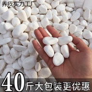 Granular Pebble White White White Stone Gravel Courtyard Stone Natural Pebble White Stone Stone Goos