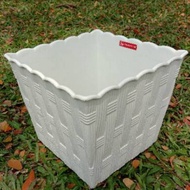 Square flower and plant Pot diameter 25cm