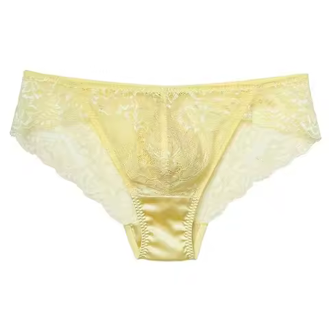 Man's Silk Lace Briefs See Through Erotic Briefs Live Show Dance DJ Club Bar Private FKK Party BF Gi