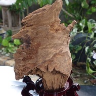 加里曼丹野生沉香老料435公克 星洲系 水沉香 酷斯拉怪獸造型
