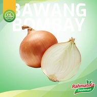 (New) Bawang Bombay Bersih / Bawang Bombay Berkualitas 1 Kg