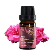 Amour 精油 - Rose Geranium Essential Oil - 玫瑰天竺葵 10ml - 100% Pure
