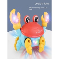 Crabs can shine 1 year old 0 8 months to coax children to improve their intelligenceabc04.th20251230