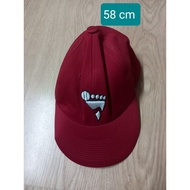 Red hat 58 cm MS26