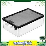 【●TI●】Transparent Reptile Feeding Box Amphibian Insect Reptile Breeding Box Ventilation Hatching Con