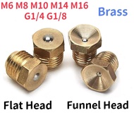 M6 M8 M10 M14 M16 G1/4 G1/8 Press Ball Male Thread Flat/Funnel Brass Grease Nozzle Gas Engine Motor 
