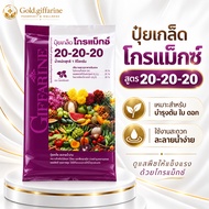 Giffarine Fertilizer Granular Formula 20-20-20 Develops Inflorescences Stems Used To Accelerate Orch