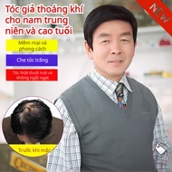 ‍ ️For Men/Natural Short Hair Natural Thick Men's Wig/High Quality Men's Wig/Wig for Middle-Aged Men