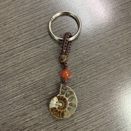 Ammonite Fossil DIY Pendant Keychain 班彩螺设计款吊坠钥匙扣 - 1pc 随机款random send