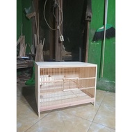 Canary livestock box size 40x40x60