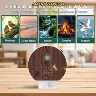 MAINAUSHUIQO Bird Sound Box, ABS Bird Chirping Sound Music Box, Portable  Tone Indoor Outdoor Use So