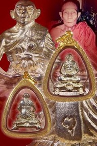 泰國佛牌-全泰第一財龜-龍婆了2537年超級好運財龜自身