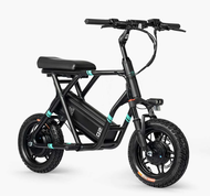 Fiido Q2 Dual Drive Foldable Electric Scooter electric bicycle