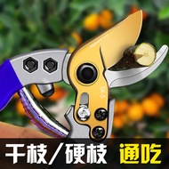 Gardening Shears Fruit Tree Shears Pruning Shears Garden Branch Shears Pruning Pruning Pruning Flowe