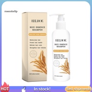 RR Hair Regrowth Shampoo Hair Loss Treatment Shampoo 100ml Rice Water Shampoo for Hair Loss Treatment and Thickening Natural Hair Regrowth Solution for Men and Women