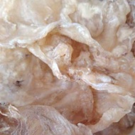 Selected Local Fish Maw M Grade Dried Fish Maw(Thick Edition)