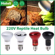 Hateli Led Bò sát màu đỏ đèn ban đêm UVA Đèn sưởi hồng ngoại bóng đèn cho rắn thằn lằn bò sát
