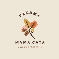 [Coffee Maker Single Origin Coffee Beans] Panama Poquette Macate Ima Geisha Washed