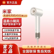 High Speed H501Low Noise Hair Dryer Fast Drying Intelligent Hair Dryer Constant Temperature Negative