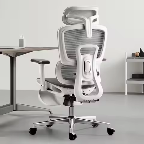 Hbada Ergonomic Office Chair with 3D Adjustable Armrests, Adjustable Lumbar Support High Back for Co