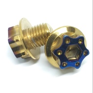 Stainless Steel Mirror Cover​ H4​ Titanium Gold